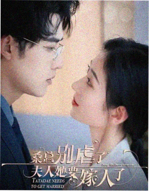 雾港缉凶 剧集速览图